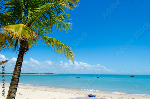 view of the beach with a beautiful sea and blue sky, some clouds, a green coconut tree composing the scene and canoes along the sea.
