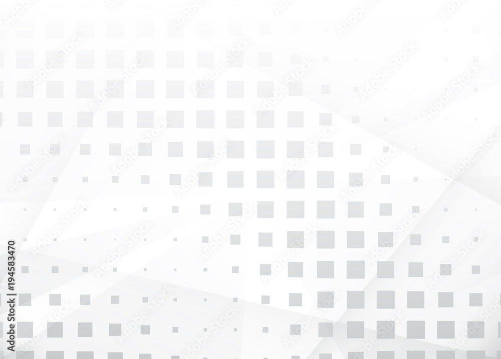 White and Grey Vector Background White and Grey Vector Background