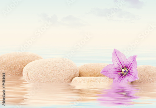 spa de piedras en el agua con una flor y el cielo relajante photo