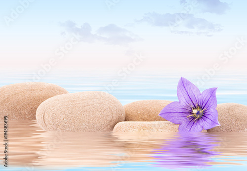 spa relaxant de flores y agua