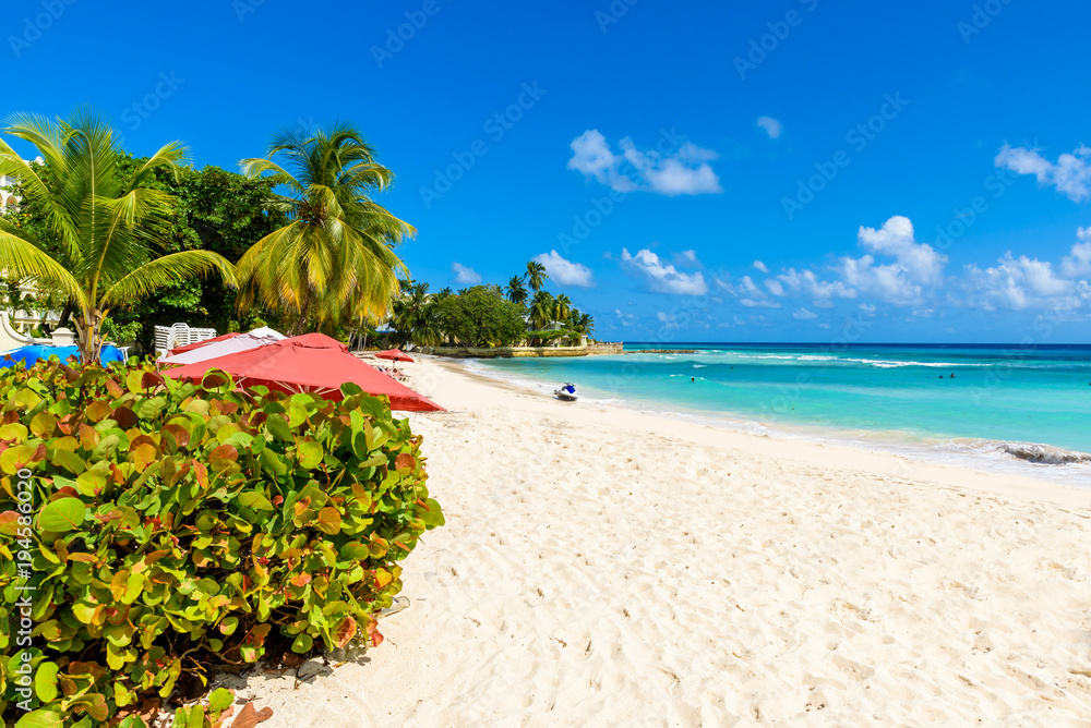 Dover Beach - tropical beach on the Caribbean island of Barbados. It is a paradise destination with a white sand beach and turquoiuse sea. - obrazy, fototapety, plakaty 