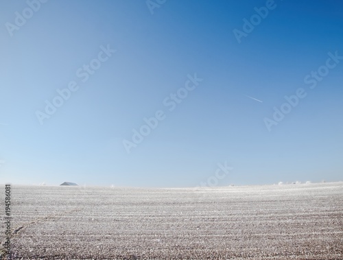Fotografie Hoarfrost on winter field
