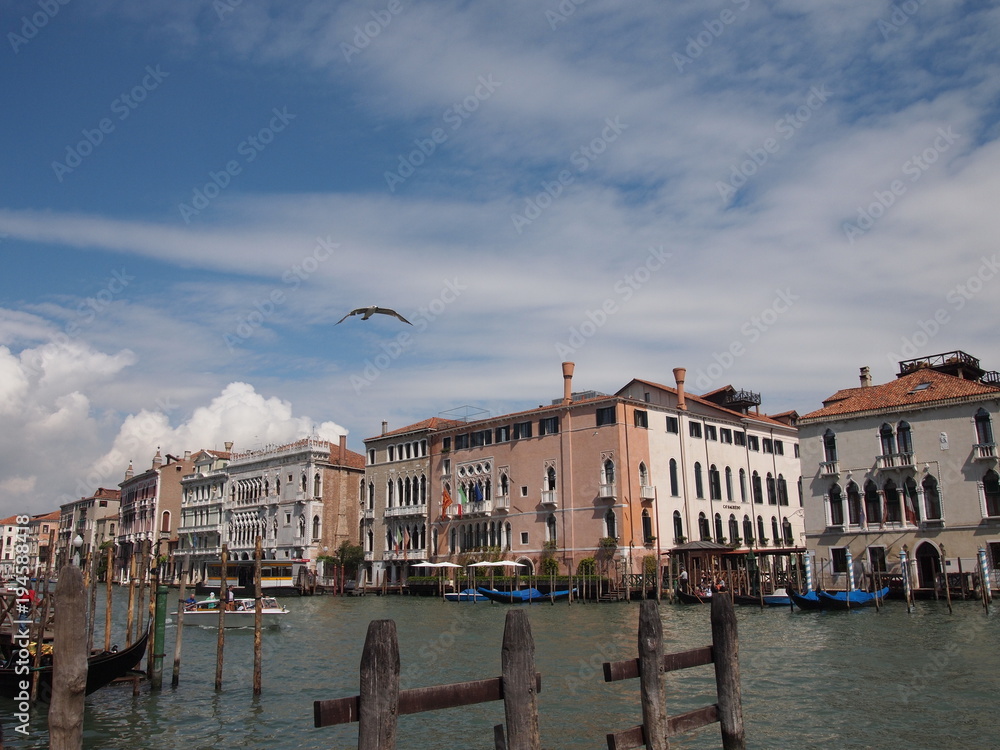 Naklejka premium Blick auf Venedig mit Möwe und blauen Himmel mit einigen Wolken