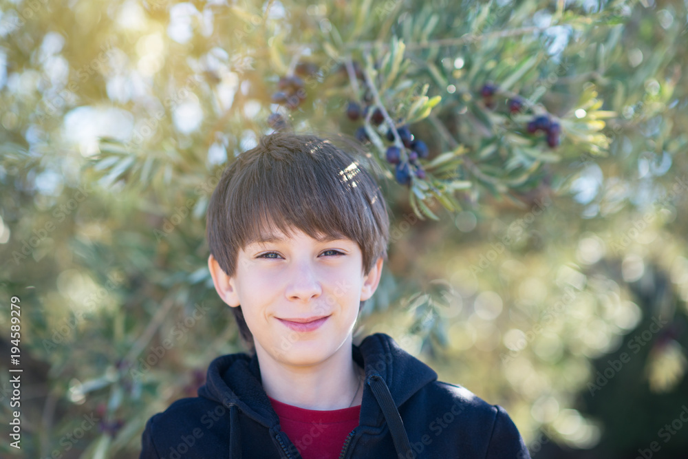 Handsome boy posing in olive trees garden. Kid's portrain over mediterranean olive field ready for harvest. Smiling teen boy in spanish olive's grove with ripe fresh olives. Handsome boy posing in olive trees garden. Kid's portrain over mediterranean olive field ready for harvest. Smiling teen boy in spanish olive's grove with ripe fresh olives.