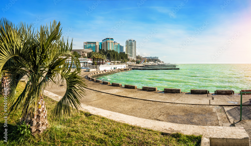 Черное море в Сочи и набережная Emerald Black Sea in sunny Sochi - obrazy, fototapety, plakaty 