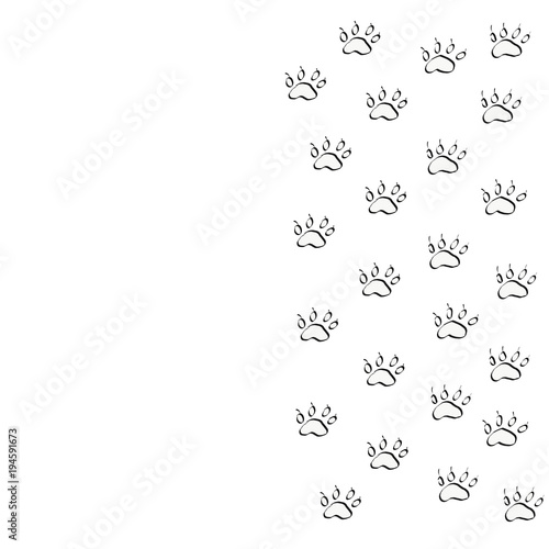 Prints of silhouettes of the paws of the animal. Traces of the beast on a white background isolated. 