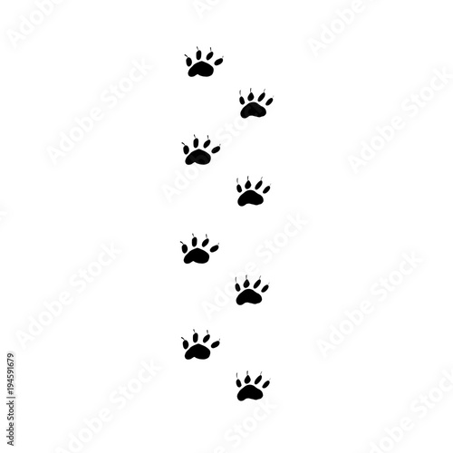 Prints black paws of the walking animal. Traces of the beast on a white background isolated.