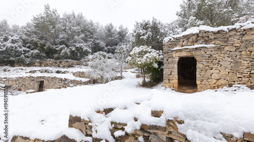 garrigue et capitelles sous la neige photo