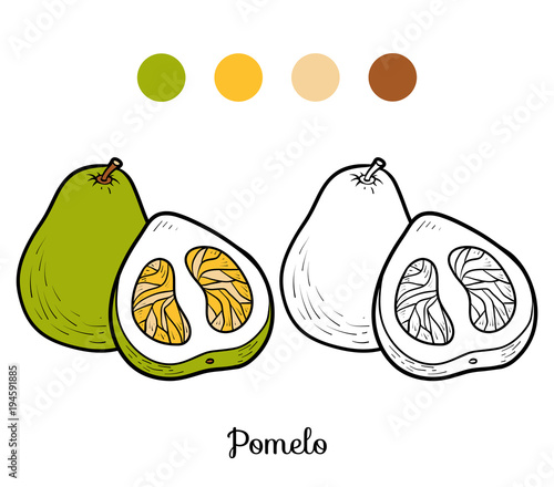 Coloring book, Pomelo