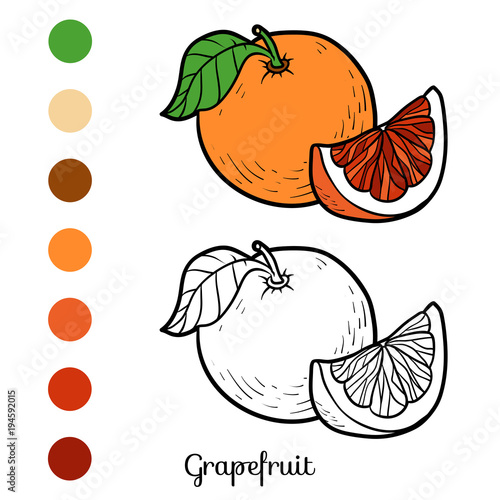 Coloring book, Grapefruit