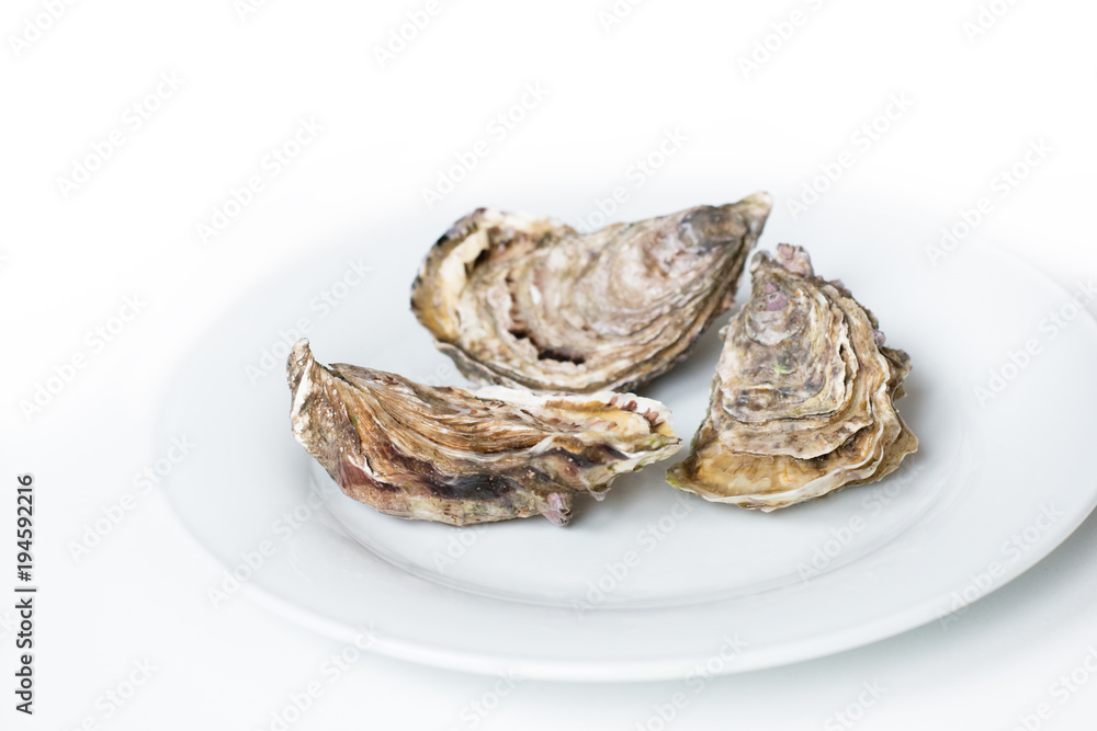 Oysters. Raw fresh oysters are on white round plate; image isolated; with soft focus. Restaurant delicacy. Oysters. Raw fresh oysters are on white round plate; image isolated; with soft focus. Restaurant delicacy.
