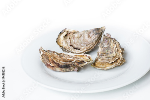 Oysters. Raw fresh oysters are on white round plate; image isolated; with soft focus. Restaurant delicacy.
