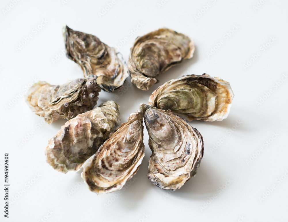 Oysters. Raw fresh oysters, image isolated, with soft focus. Restaurant delicacy. Oysters. Raw fresh oysters, image isolated, with soft focus. Restaurant delicacy.