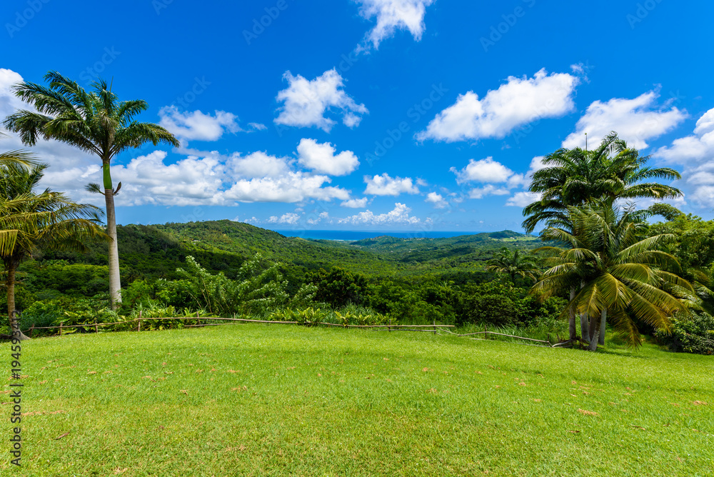 Tropical highland scenery on the Caribbean island of Barbados. It is a paradise destination with a white sand beach and turquoiuse sea.