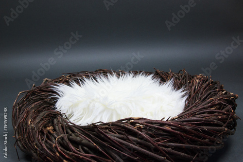 Bird Nest Fantasy Background Photo Prop Isolated on gray
