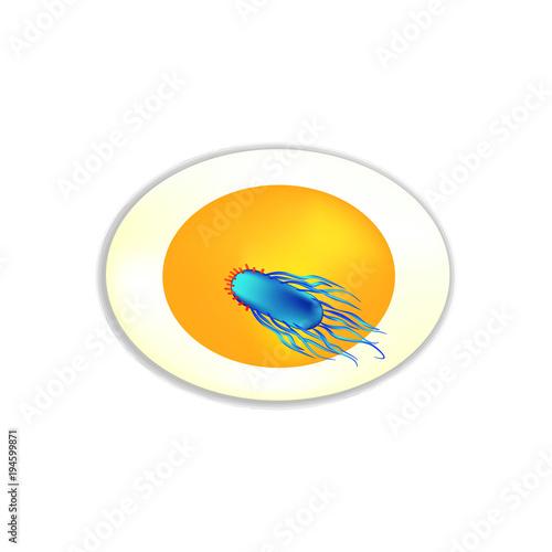 The structure of the bacteria Salmonella. The introduction of salmonella into a chicken egg. Infographics. Vector illustration on isolated background.