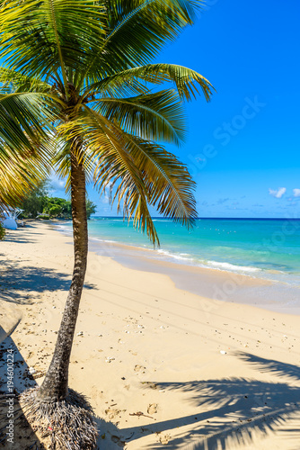 Mullins Beach - tropical beach on the Caribbean island of Barbados. It is a paradise destination with a white sand beach and turquoiuse sea. © Simon Dannhauer