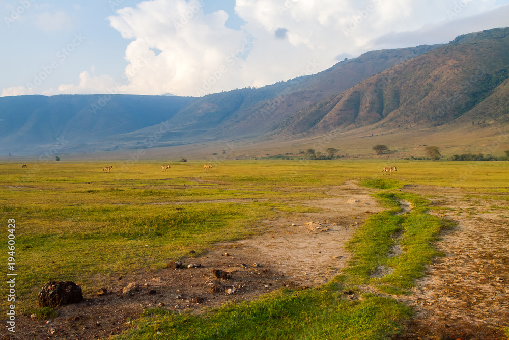 Ngorongoro Conservation Area Landscape and Wildlife