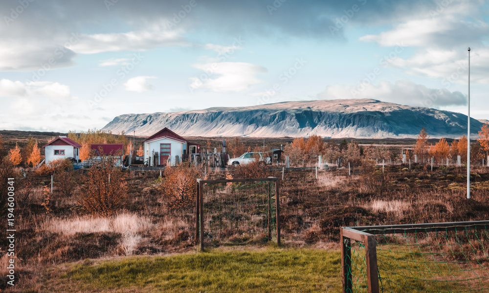 Fototapeta premium Iceland Mountains & Life