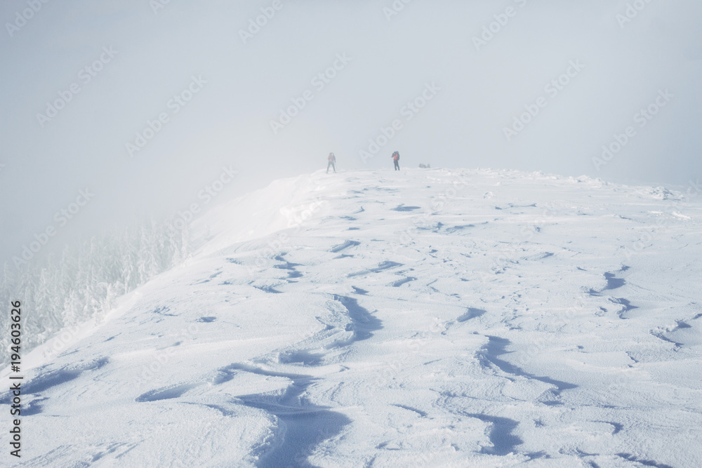 Team of climbers on top of Gorgany mountains during blizzard