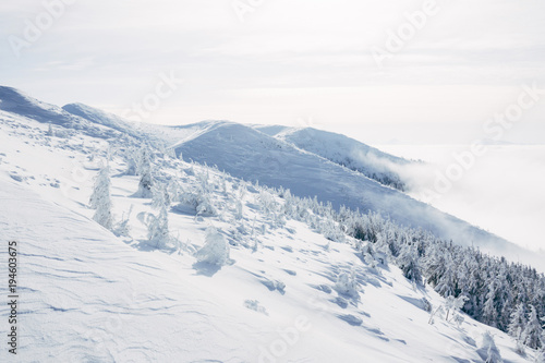 Frozen forest on hills of Gorgany mountains © LIGHTFIELD STUDIOS
