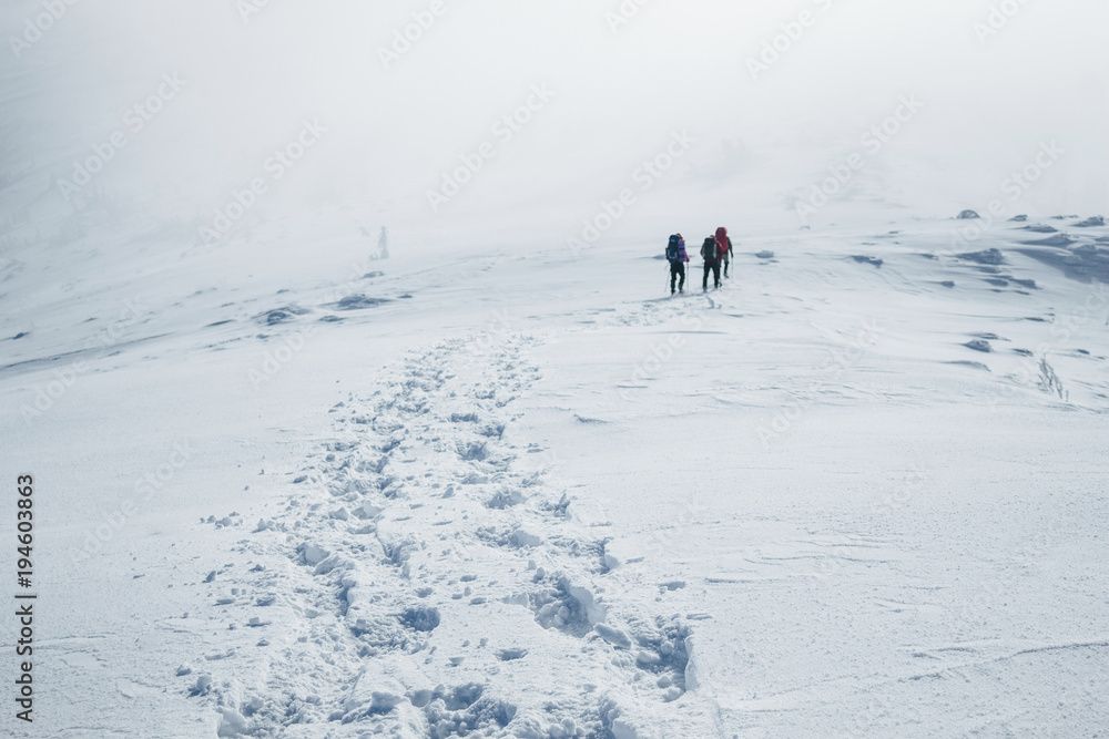 Climbers struggling winter blizzard in Gorgany mountains