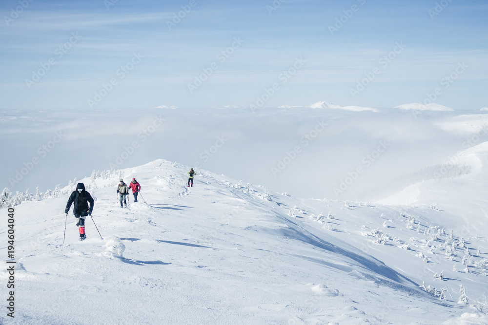 Travelers walking in Gorgany mountains in deep snow