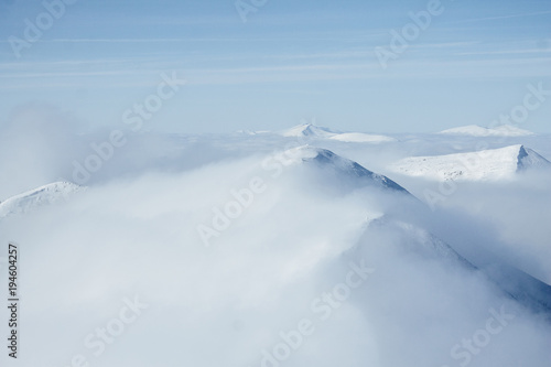 Snow blizzard in foggy Carpathians Gorgany mountains