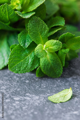 Fresh mint. Bunch of Fresh green organic mint leaf on grey stone background.