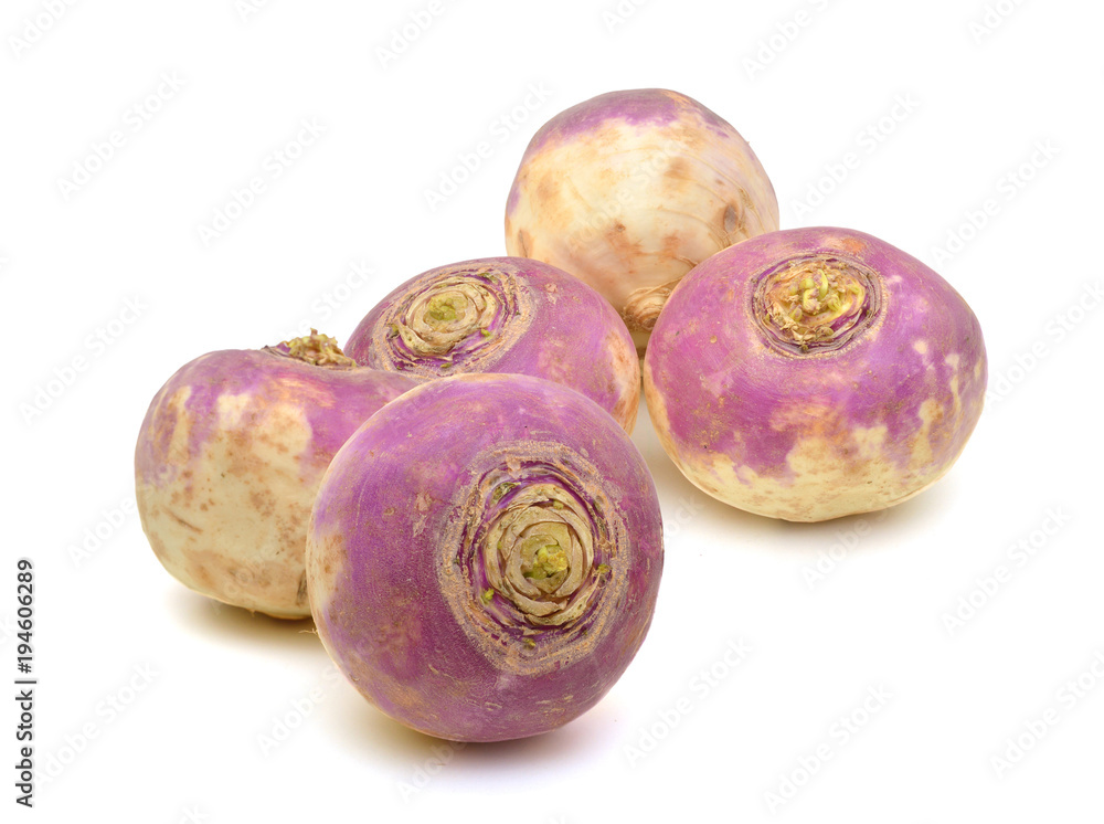 freshly harvested spring turnips (Brassica rapa) on a white background freshly harvested spring turnips (Brassica rapa) on a white background