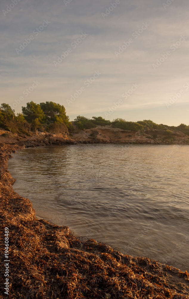 Fototapeta premium Sespanyol Beach in Ibiza at sunrise, Balearic Islands