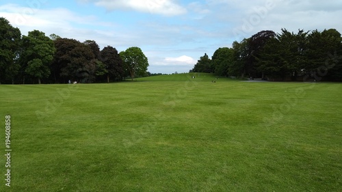Endless English lawn