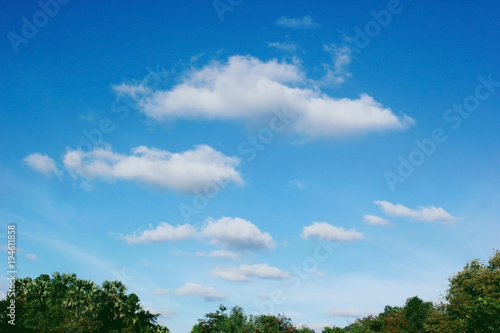 Fototapeta Naklejka Na Ścianę i Meble -  Clouds and sky above trees