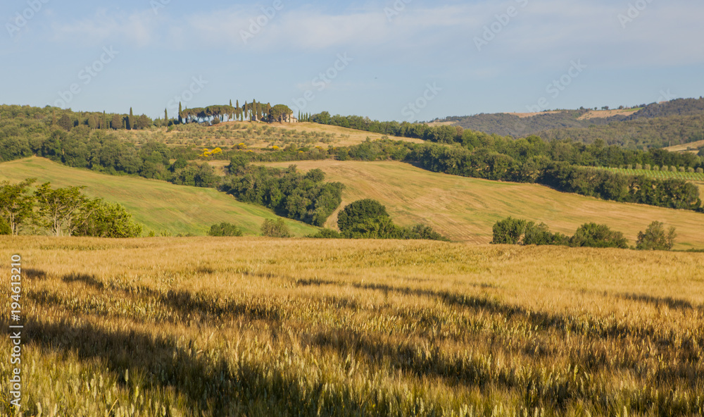 Tuscan landscape, fields and meadows on a warm sunny day