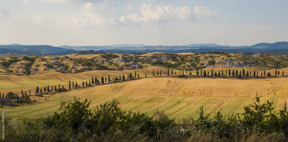 Tuscan landscape, fields and meadows on a warm sunny day Tuscan landscape, fields and meadows on a warm sunny day
