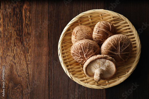 Foto 椎茸