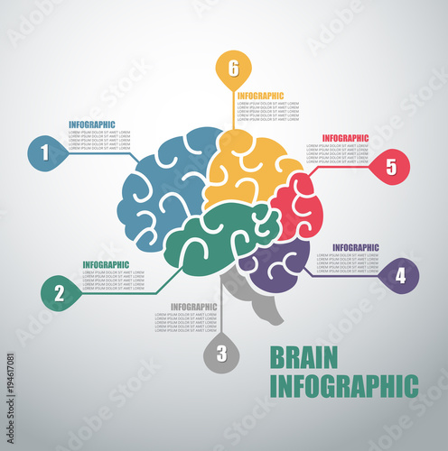 Modern infographics options banner with colorful brain and in outline style. 