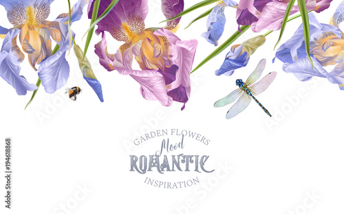 Iris horizontal border