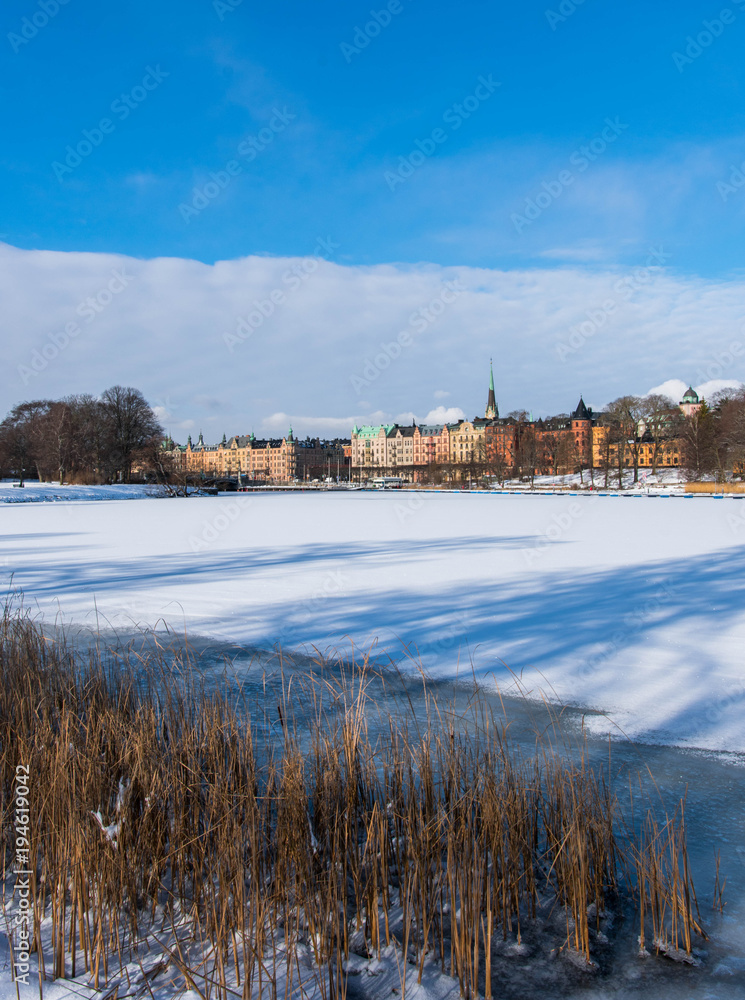 Enjoying the view of a frozen lake in Stockholm, Sweden