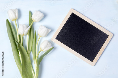 the Tulip with blank picture frame on white background