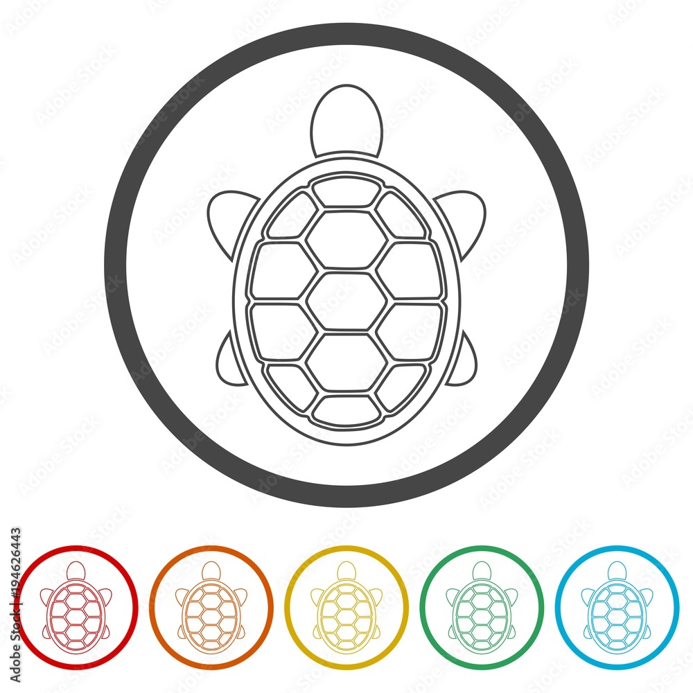 Fototapeta premium Turtle Icon Flat Graphic Design - Vector Illustration, 6 Colors Included