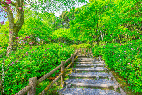 The beautiful Japanese garden around Tenryu-ji at Zen Temple in Arashiyama District, Kyoto, Japan. Spring season. Garden path of a hundred flowers or Hyakka'en.