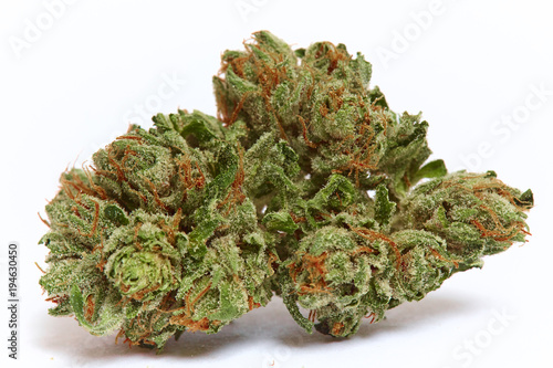 Close up of legal prescription medical marijuana home grown sativa strain isolated on a white background