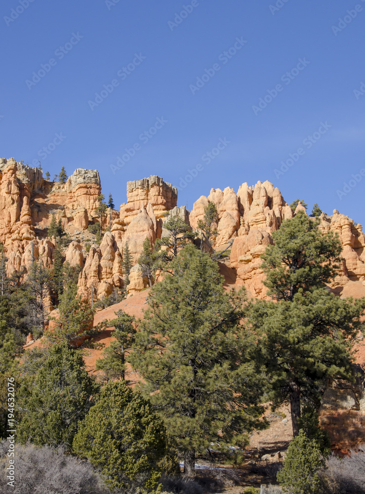  Red Rocks Natural Habitat with Pine Trees