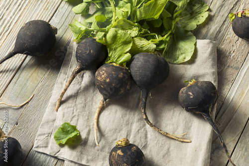 Quadro su tela Organic Raw Black Radishes