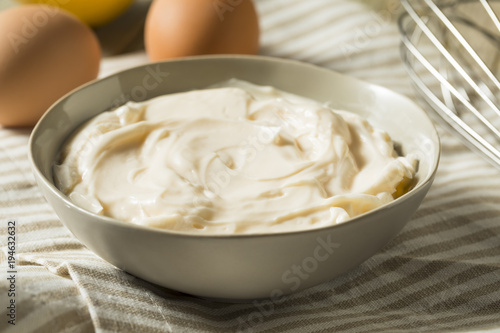 Healthy Organic Homemade Mayonnaise