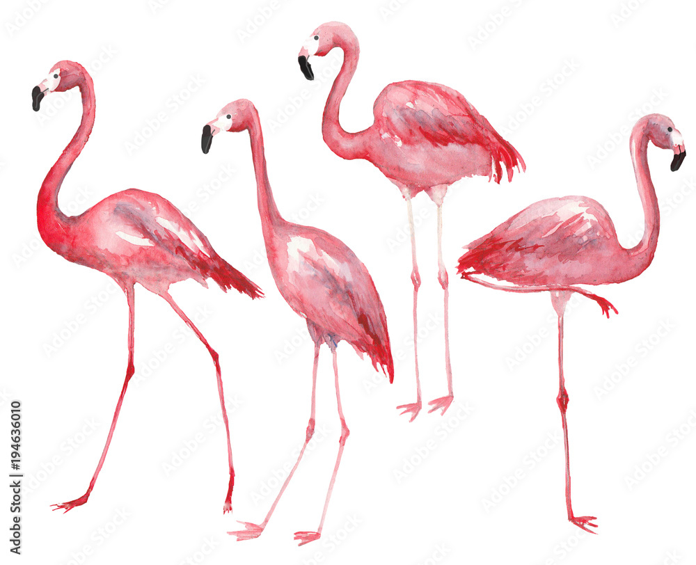 Obraz premium Watercolor pink flamingo set