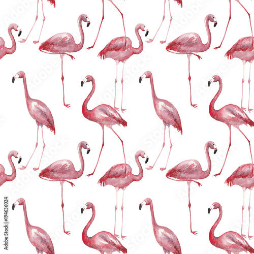 Watercolor flamingo seamless pattern 