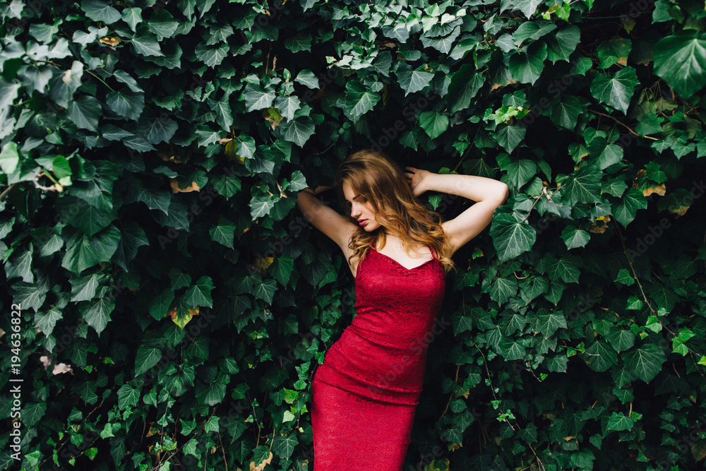 Elegant, beautiful girl on a background of green ivy. In a burgundy dress with beautiful hair and makeup