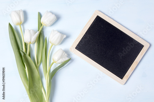 the Tulip with blank picture frame on white background